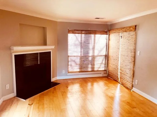 2 bed, 813 sqft, $1,900 — Photo 3