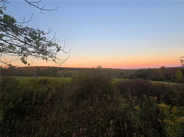 0 Hardknocks Rd, Unadilla, NY 13849