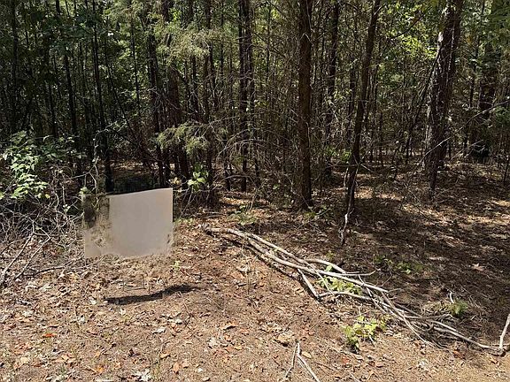 3rd image of 0 Sandy Flat Rd