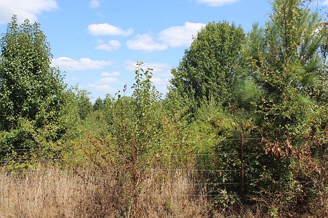 2nd image of 900 County Road 103