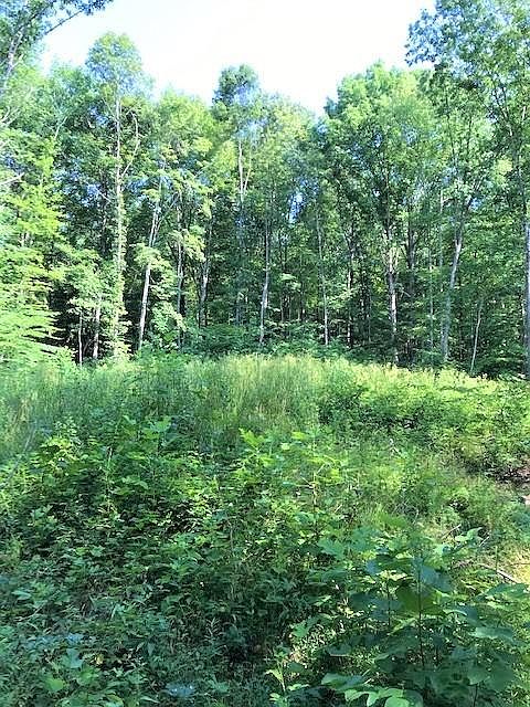 2nd image of 77 Hidden Forrest Dr