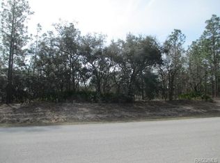 3762 N Grayhawk Loop, Lecanto, FL 34461