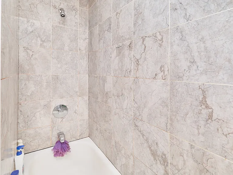 171 E 117th St #1 — Photo 12