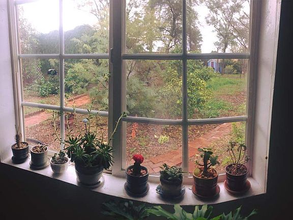 View of the backyard 