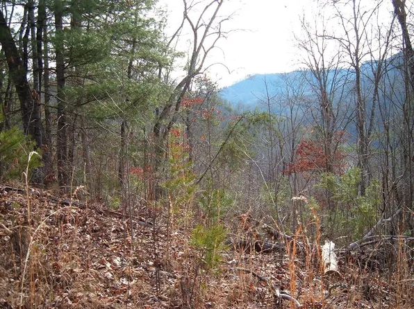 13 Cedar Cliff Stovall, Tuckasegee, NC 28783