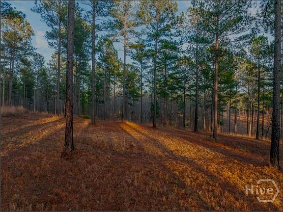 2nd image of 163 Overlook Drive