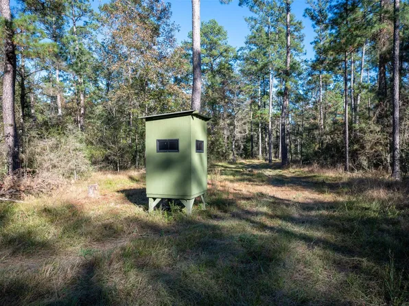0 Fm 1745, Chester, TX 75936