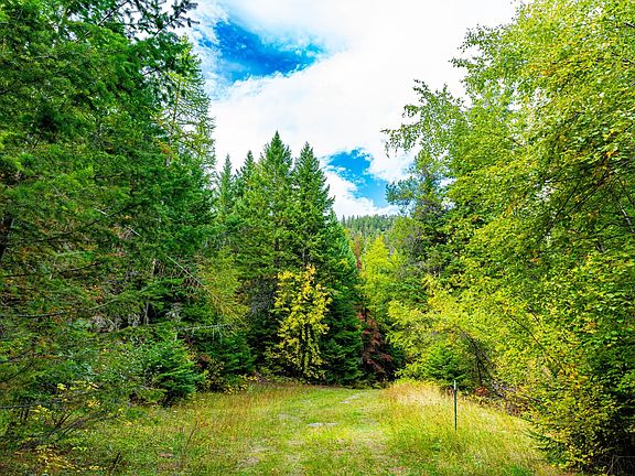 5th image of 20880 Birch Creek Trl