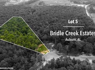 3021 Bridle Creek Cir, Auburn, AL 36830