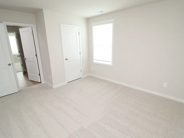 4129 Hazel Branch Way — Photo 33