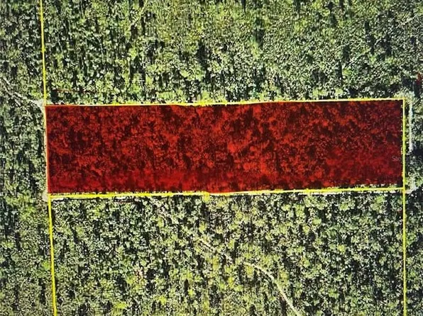 NE Northeast 144th Ter, Silver Springs, FL 34488