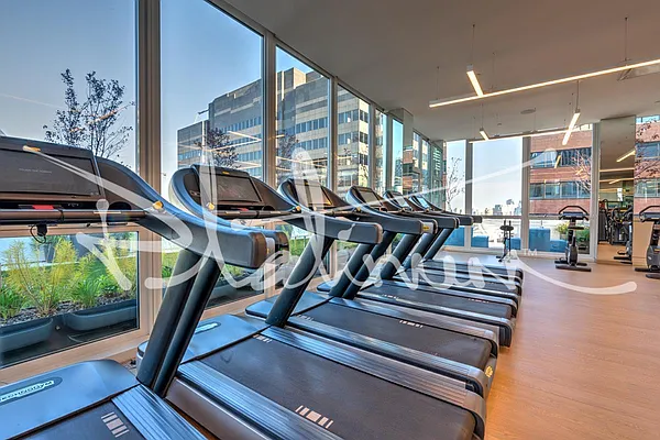 Rented by Platinum Properties | media 13