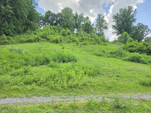 0 Plum Creek Rd, Glade Spring, VA 24340