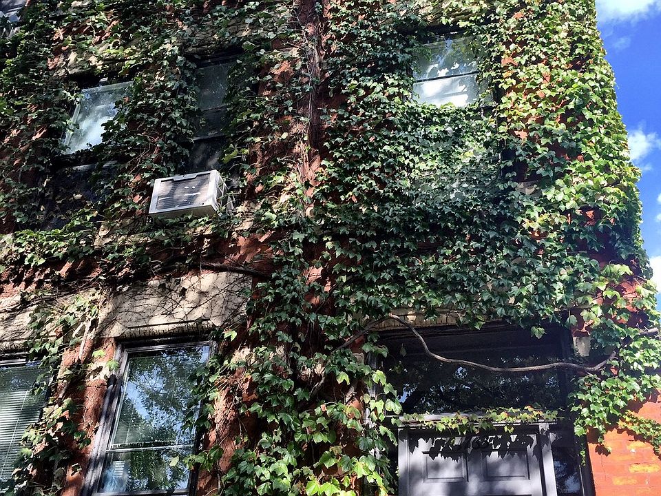 1st image of 1763 N Wells St #3