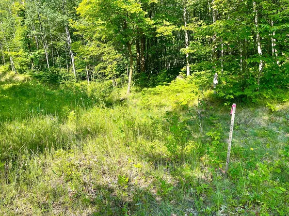 2 & 3 Evergreen Dr NW, Hackensack, MN 56452