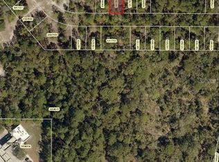Karen Dr, Mount dora, FL 32757