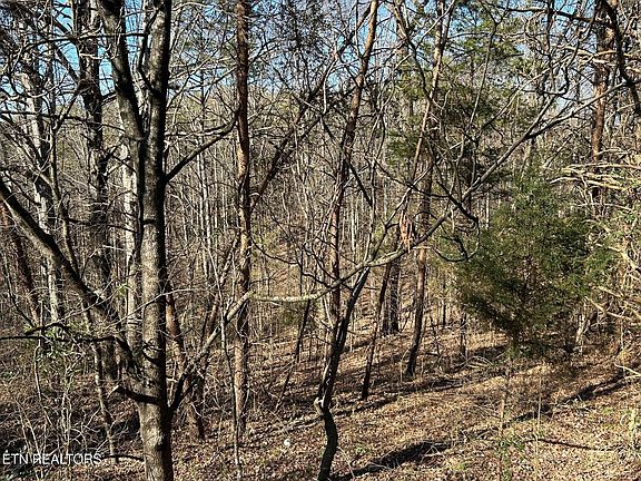 5th image of 5737 Rest Camp Rd