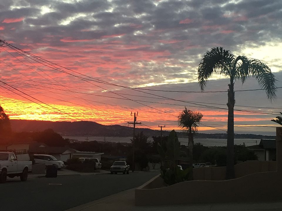 Ocean view from front yard
