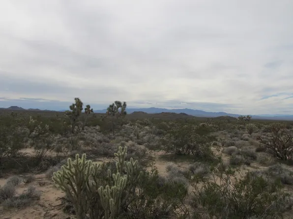 245-06-002D S Ernest Rd #18, Yucca, AZ 86438
