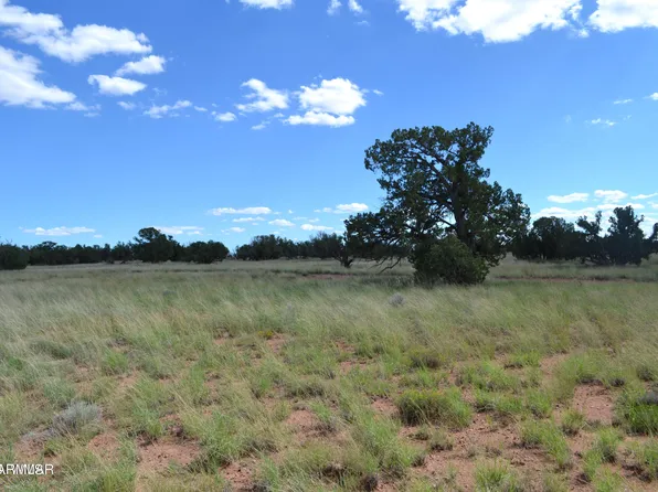 TBD N9160 -- #001s, Concho, AZ 85924