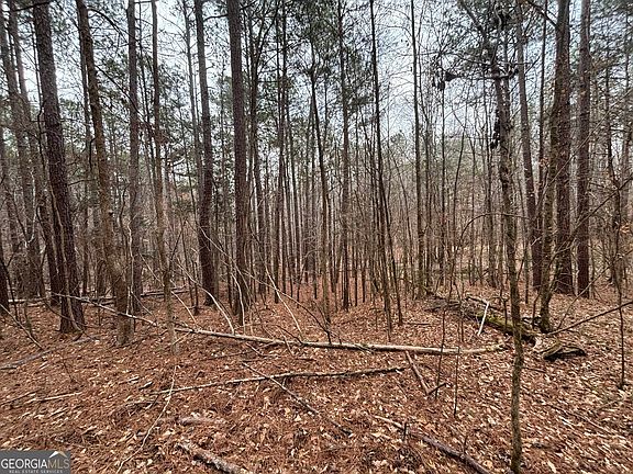 5th image of 0 Oconee Rd Lot 3