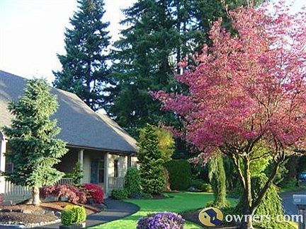 Front of House and Yard