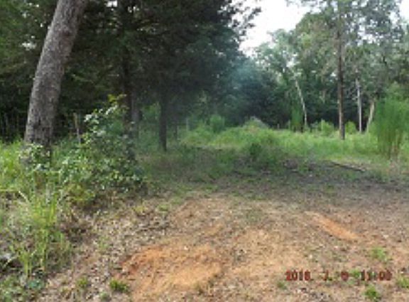 3rd image of 940 An County Road 4259