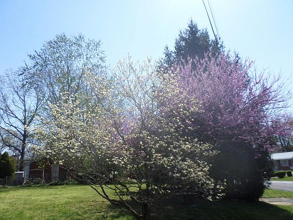 2nd image of 2633 Stanford Dr