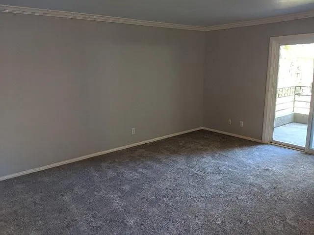7445 Charmant Dr #1708 — Photo 5