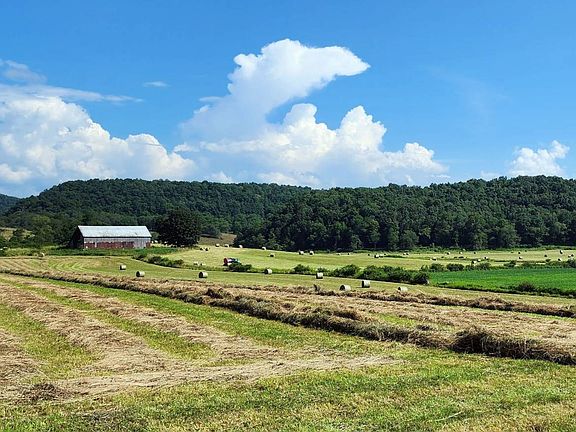 8th image of this home