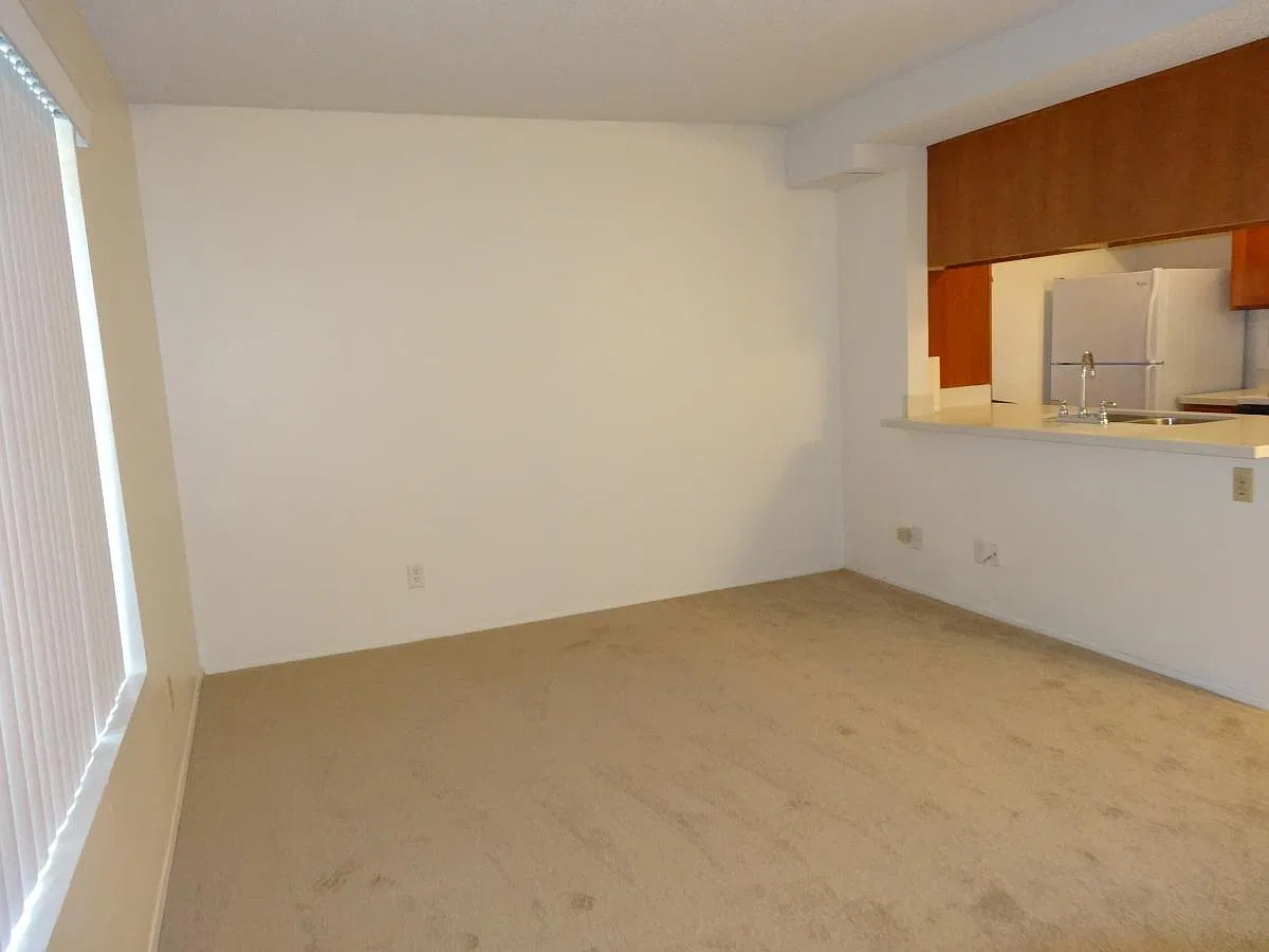 1 bed, 560 sqft, $1,795 — Photo 3