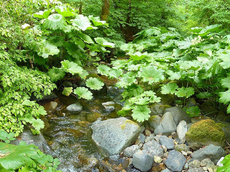 1st image of 9.69 Acres Dog Creek Road