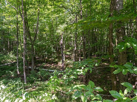 4th image of 1531 Myers Cave Rd