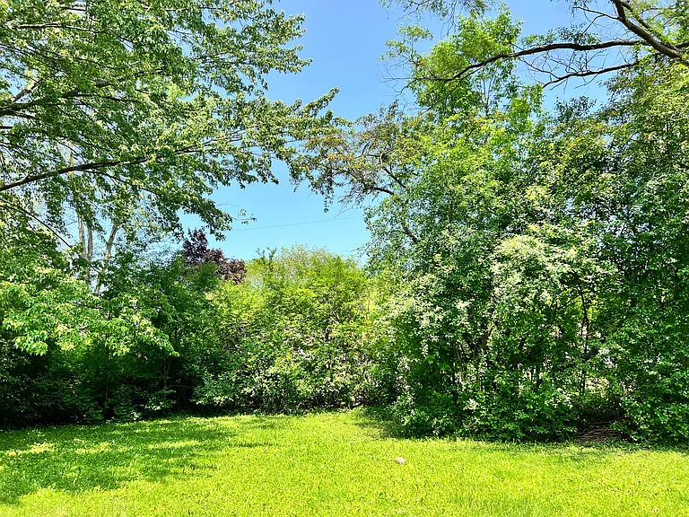 large private wooded backyard