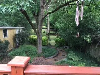 Yard from deck