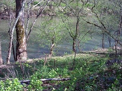 3rd image of 11141 Wv Highway 5 W