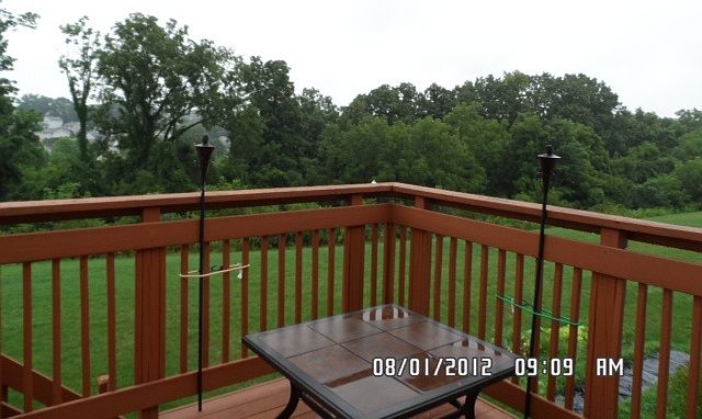 deck overlooking woods