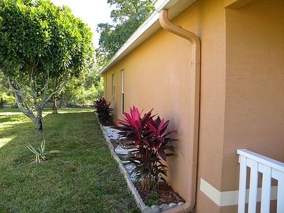 MATURE PLANTINGS