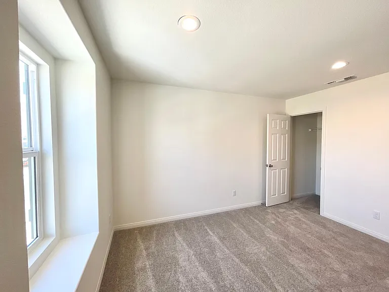 20009 Lemonscent Dr — Photo 6