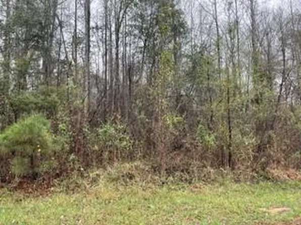 0 Lee Road 2058, Salem, AL 36874
