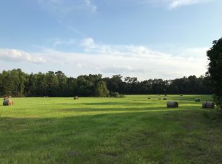 715 NW Double Bridge Rd, Laurel Hill, FL 32567