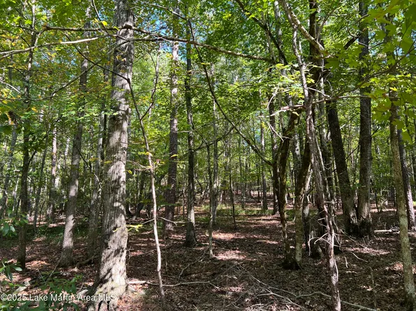 11 Fawn Ln, Dadeville, AL 36853