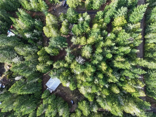 260 NE Kissin Tree Lane, Tahuya, WA 98588