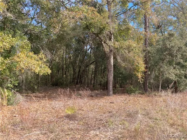 2121 W Mesa Verde Dr, Beverly Hills, FL 34465