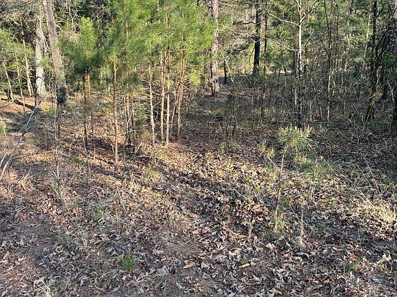 4th image of 553-553 Bald Eagle Rd