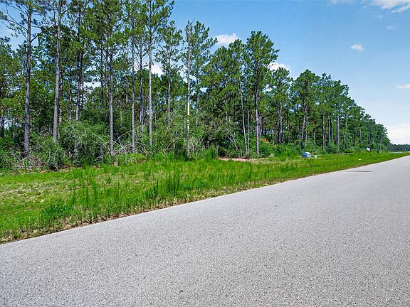 3rd image of 15625 Forest Grove Dr Lot 41