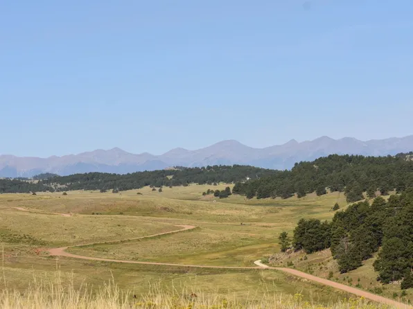 5950 Eagle Springs Rd, Westcliffe, CO 81252