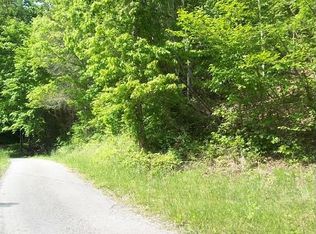 1132 Brewers Chapel Rd, Sneedville, TN 37869