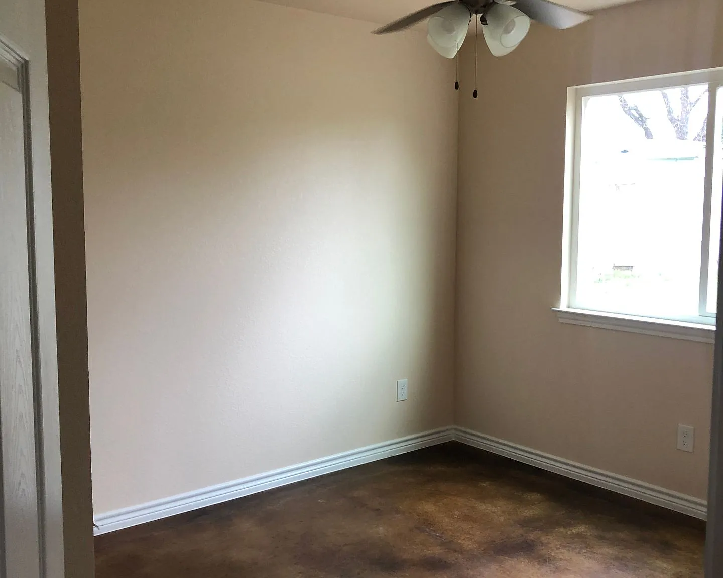 509 College St — Photo 4