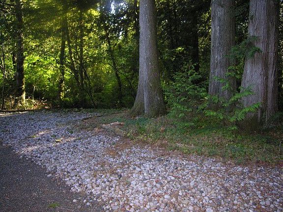Private Park-like Setting